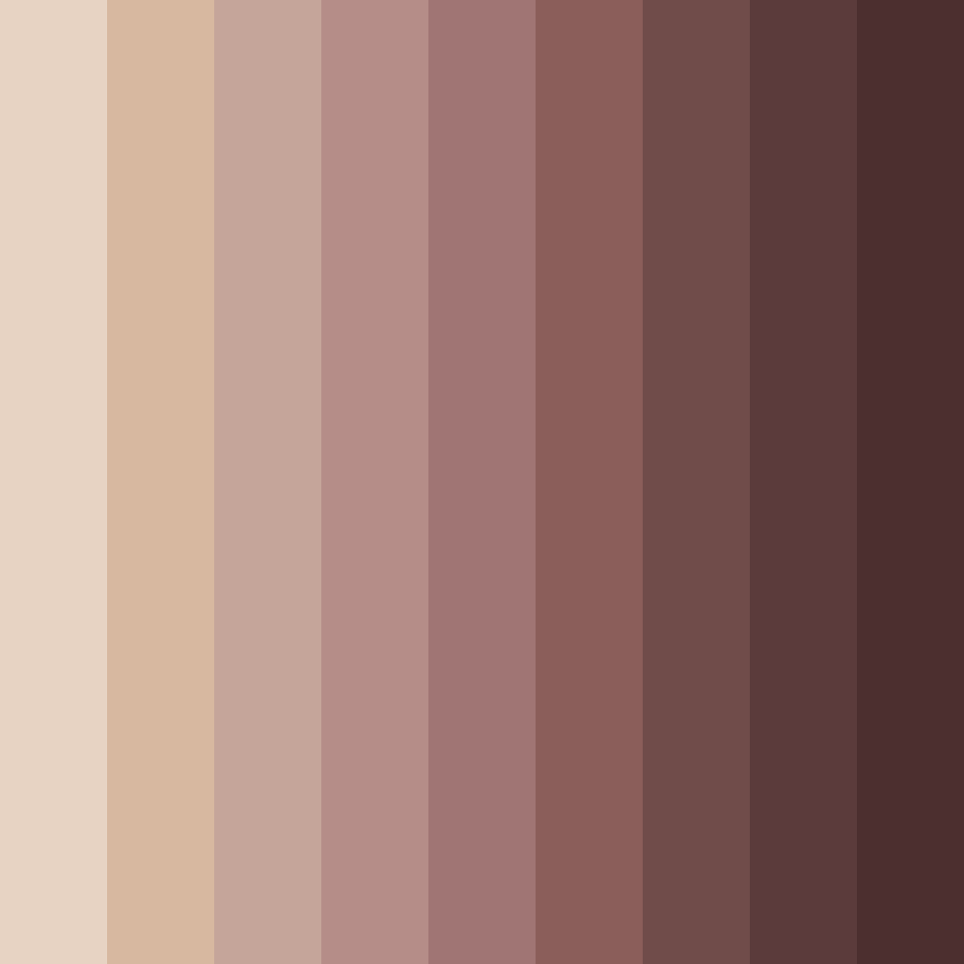 Download desert rosewood color palette PNG image (square)