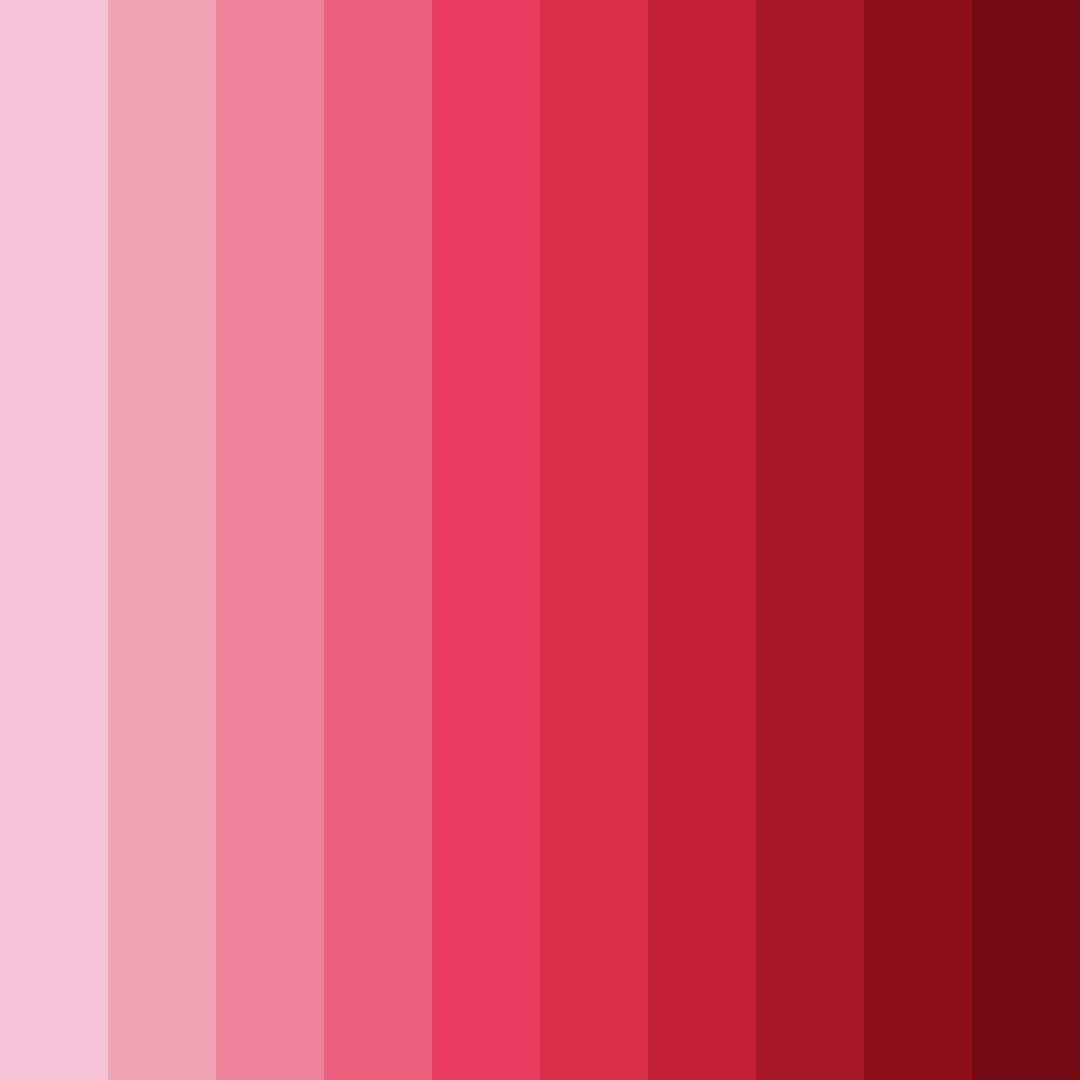 Download seashell serenade color palette PNG image (square)