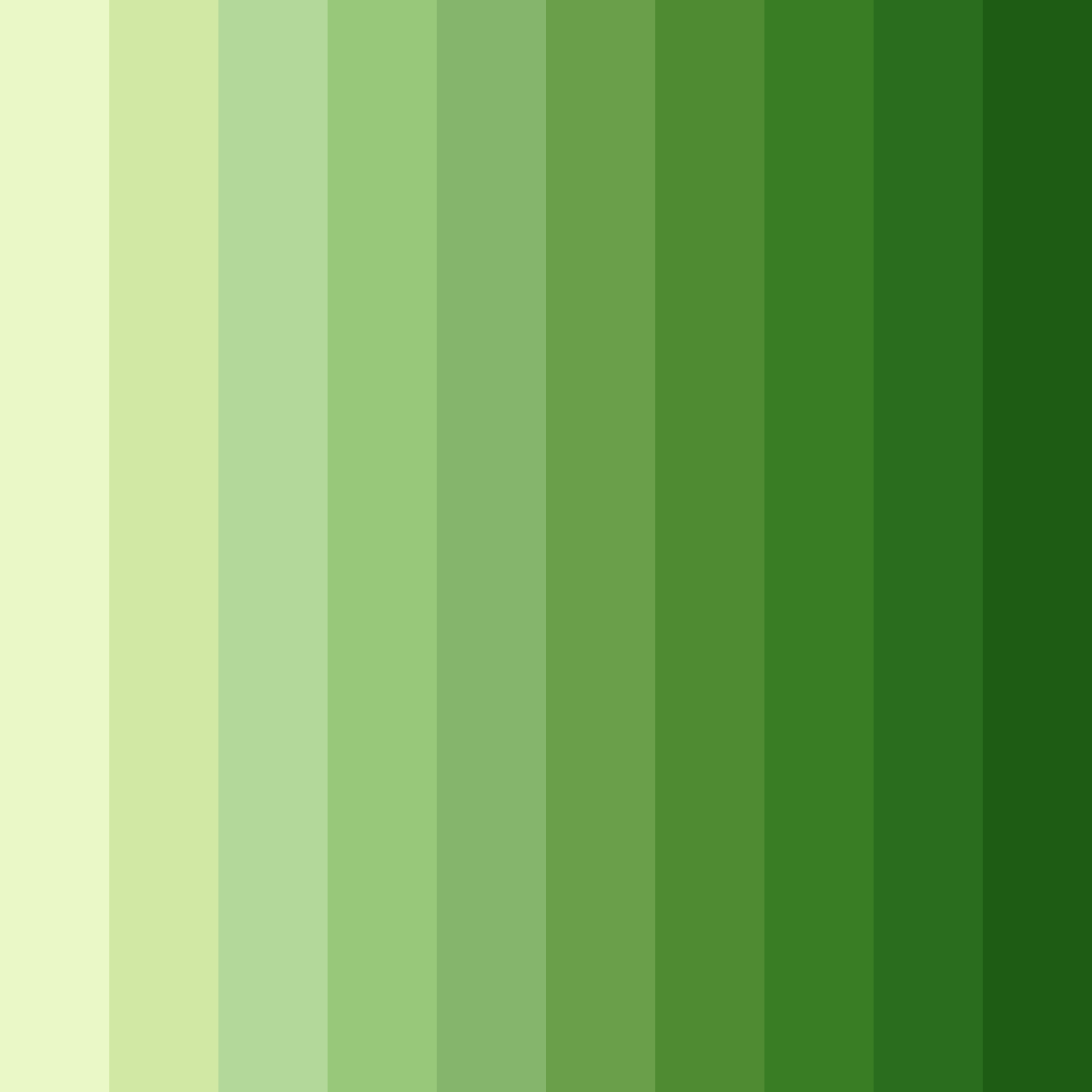 Download lush sunlit grove color palette PNG image (square)
