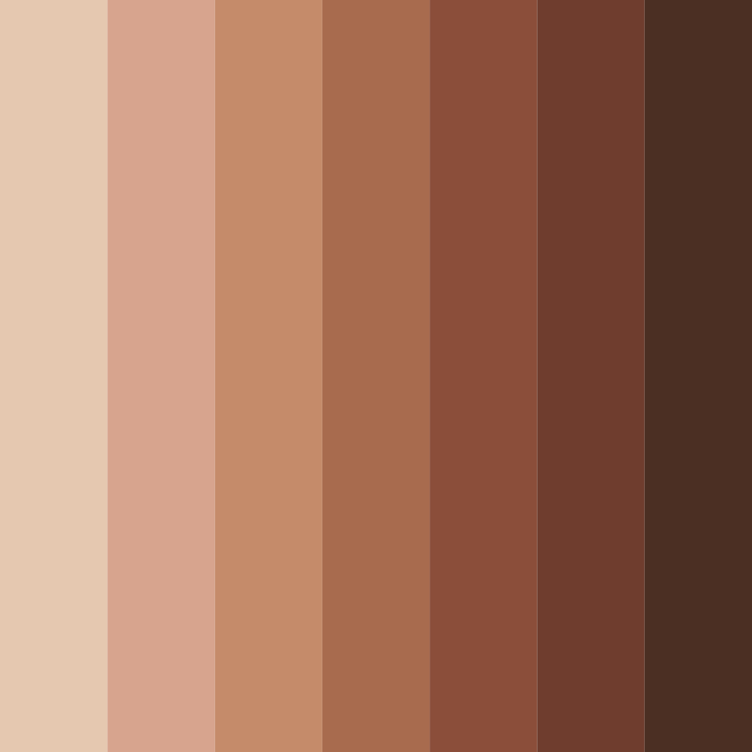 Download brown chocolate color palette PNG image (square)