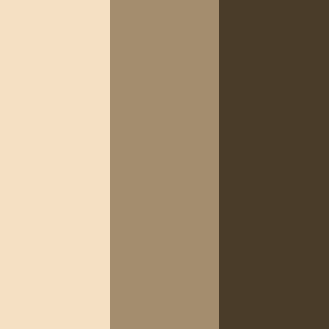 Download cozy shoreline color palette PNG image (square)