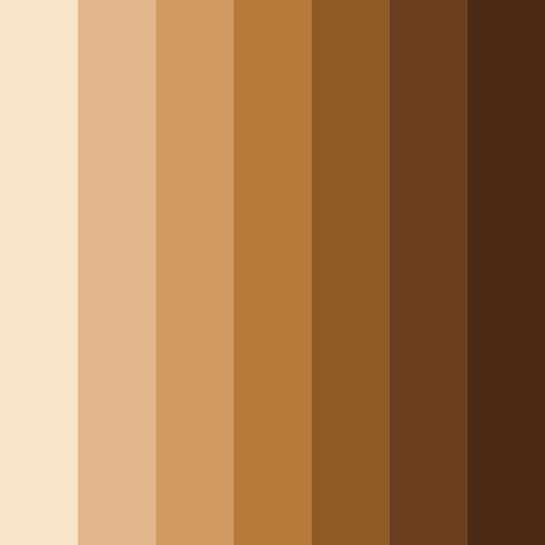 Download brown coffee color palette PNG image (square)