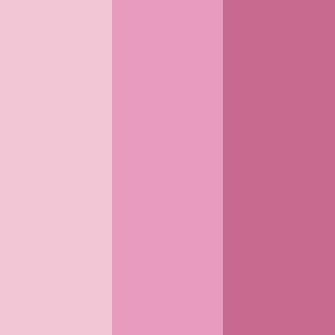Download blushing elegance color palette PNG image (square)