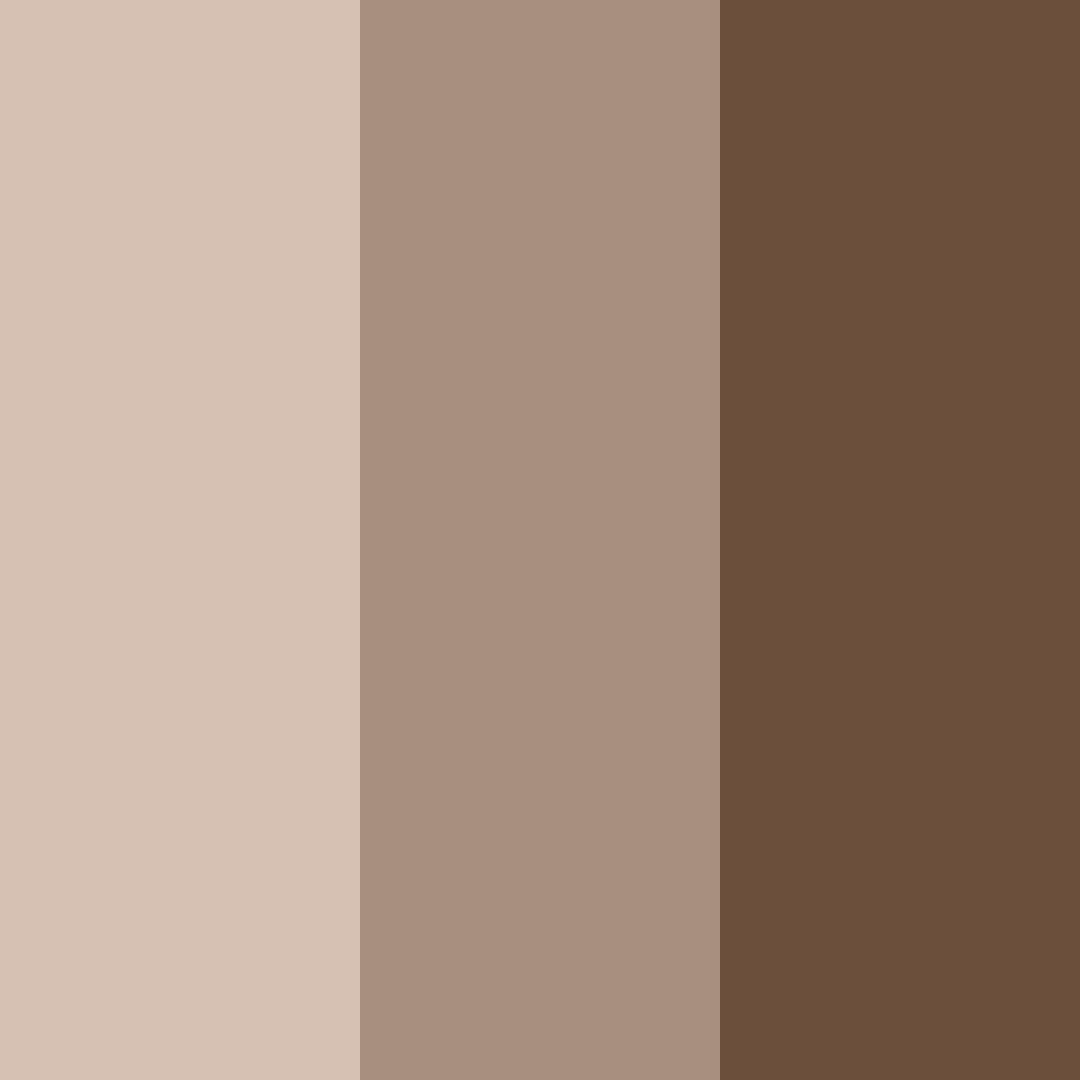 Download brown coffee color palette PNG image (square)