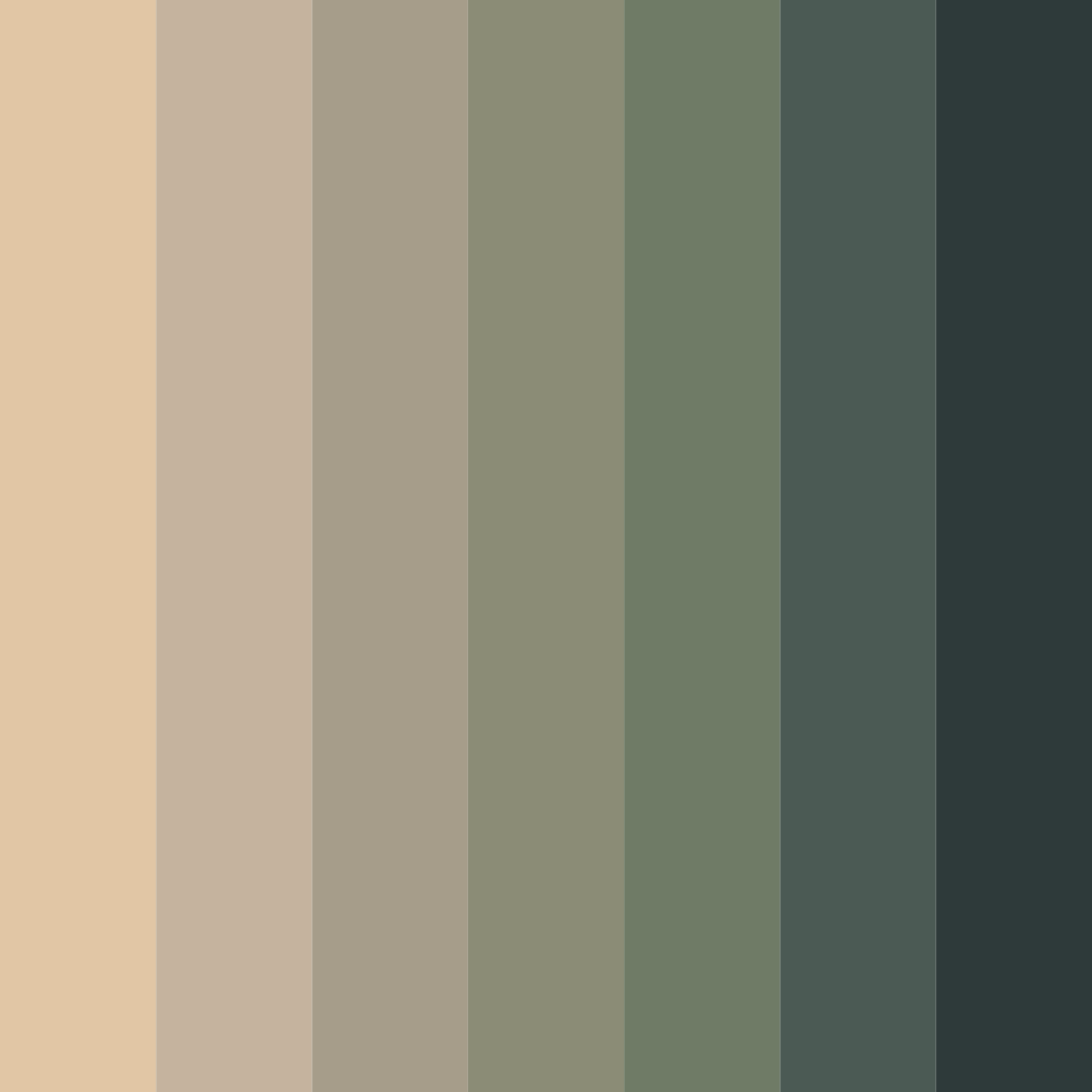 Download nutty elegance color palette PNG image (square)