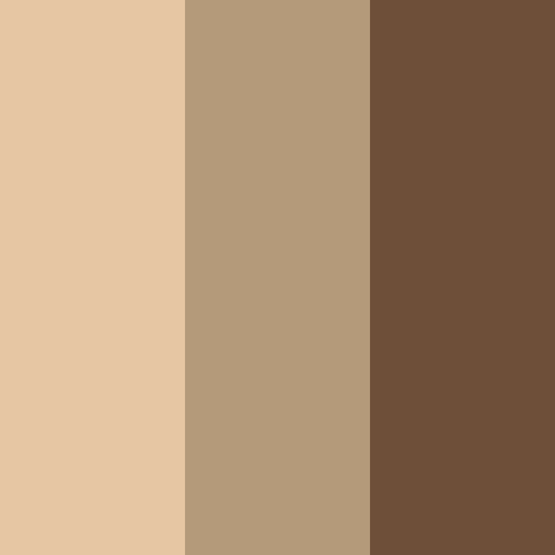 Download brown forest color palette PNG image (square)