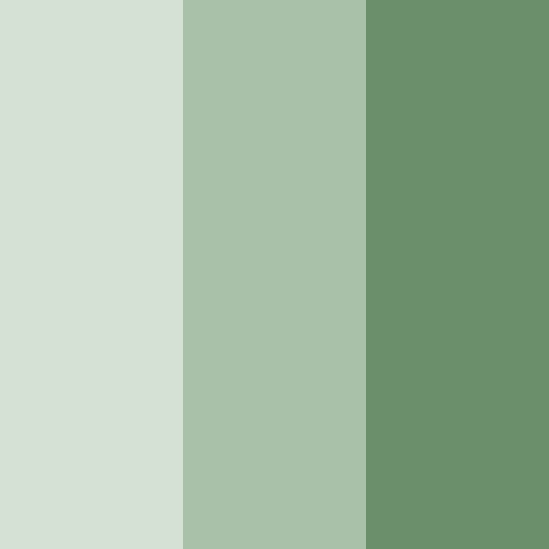 Download soft sage green color palette PNG image (square)