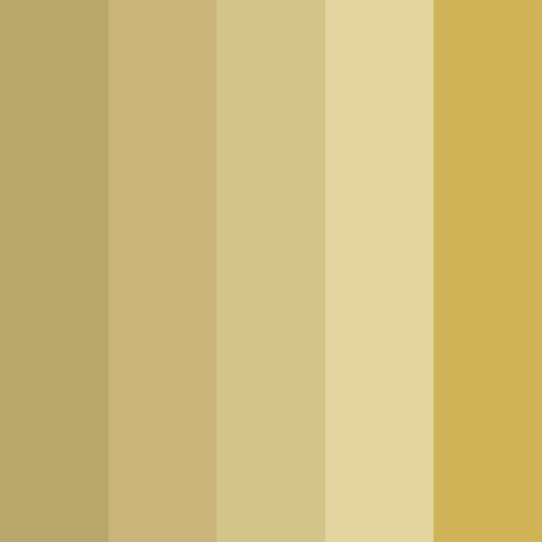 Download bistre tones color palette PNG image (square)