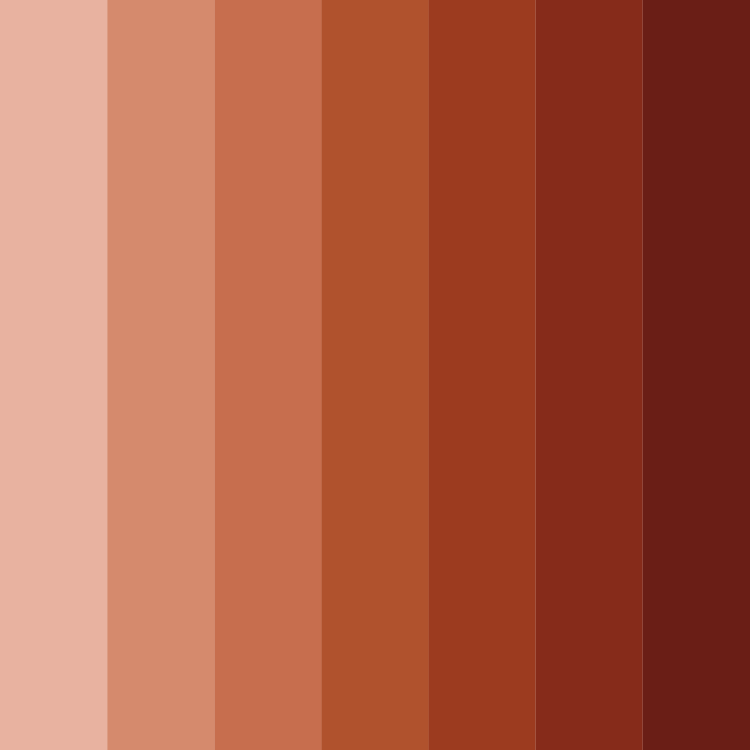Download bittersweet embers color palette PNG image (square)