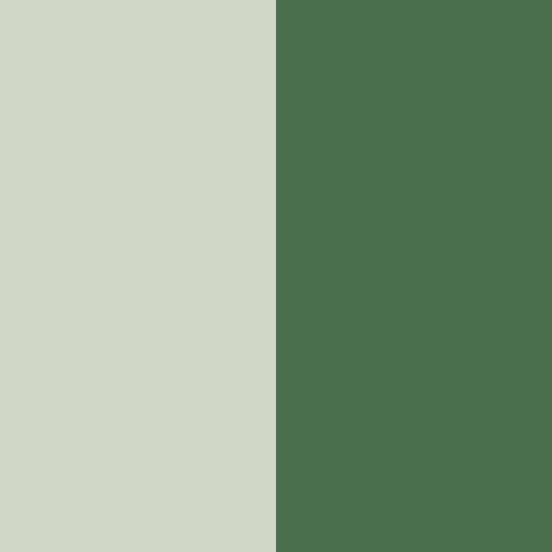 Download mossy mist color palette PNG image (square)