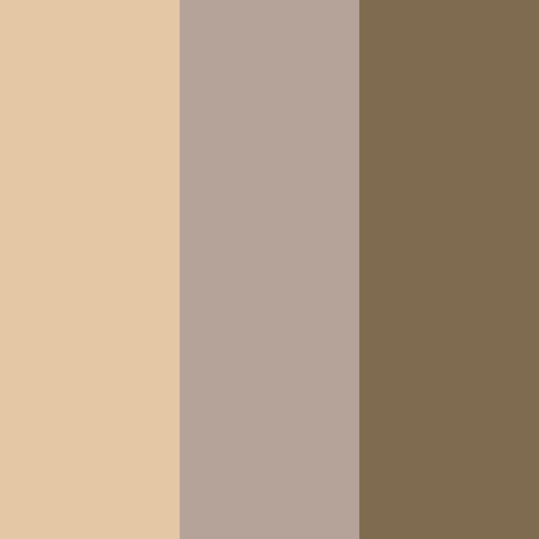 Download timeless elegance color palette PNG image (square)