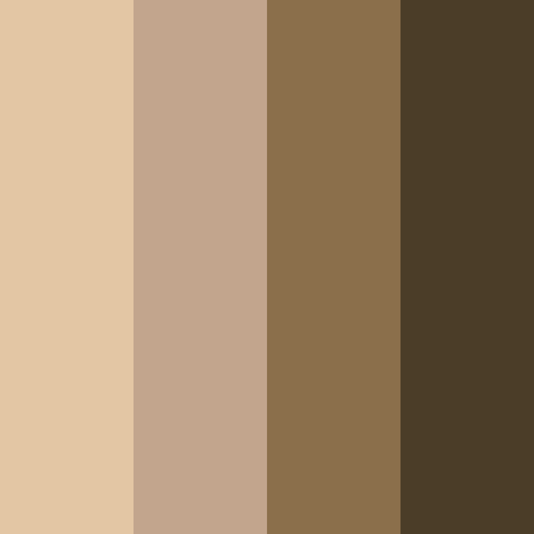 Download brown coffee tones color palette PNG image (square)