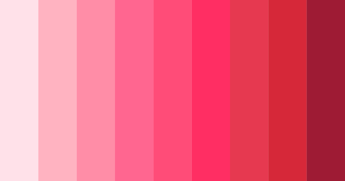 Download blossom burst color palette PNG image (landscape)