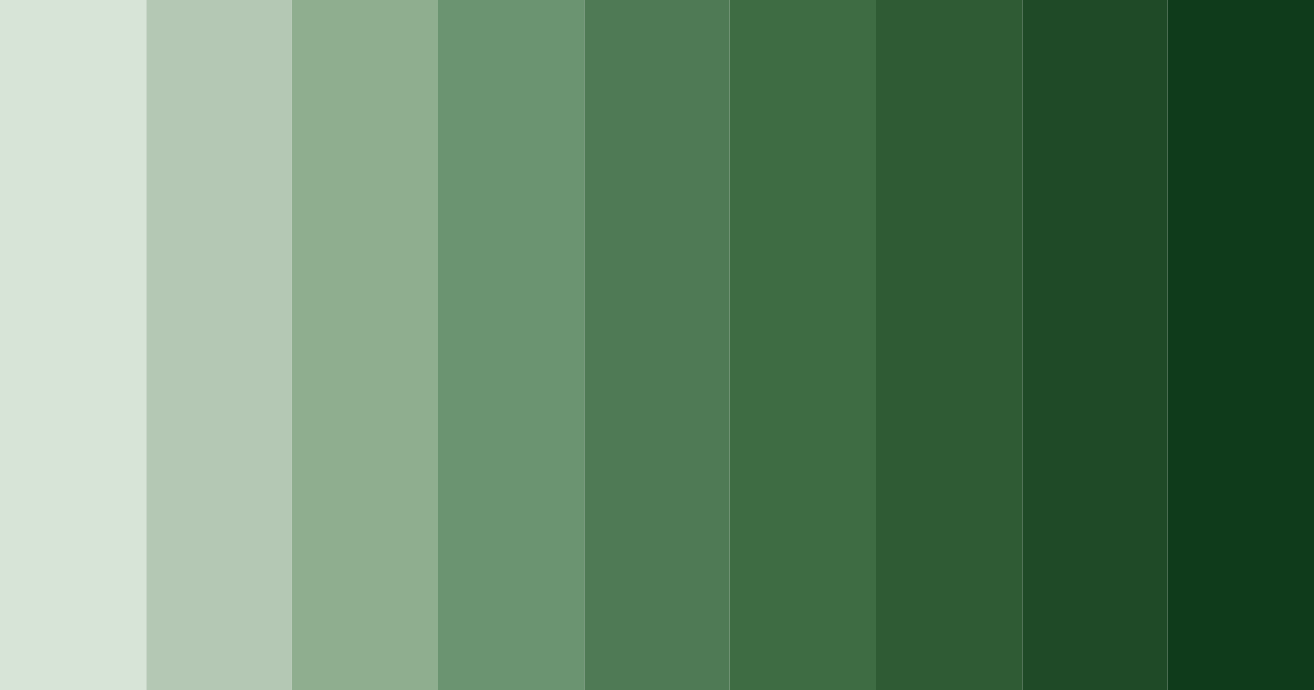 Download emerald canopy color palette PNG image (landscape)