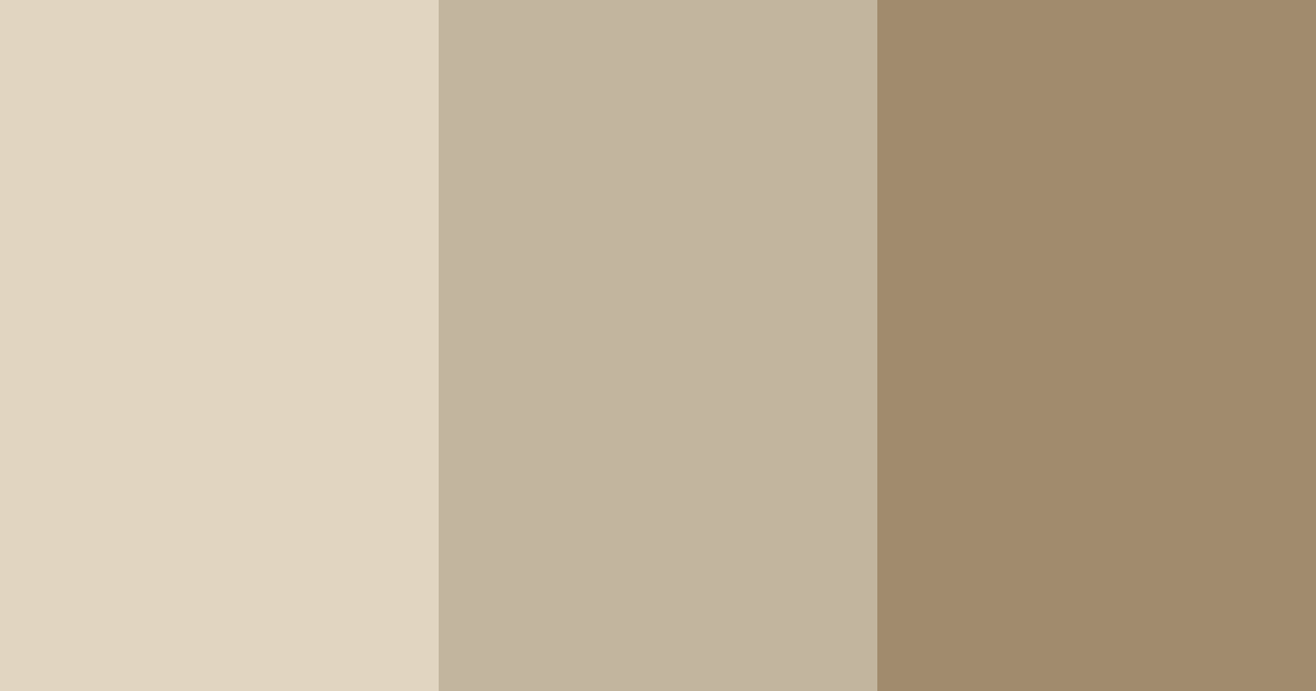 Download warm beige color palette PNG image (landscape)