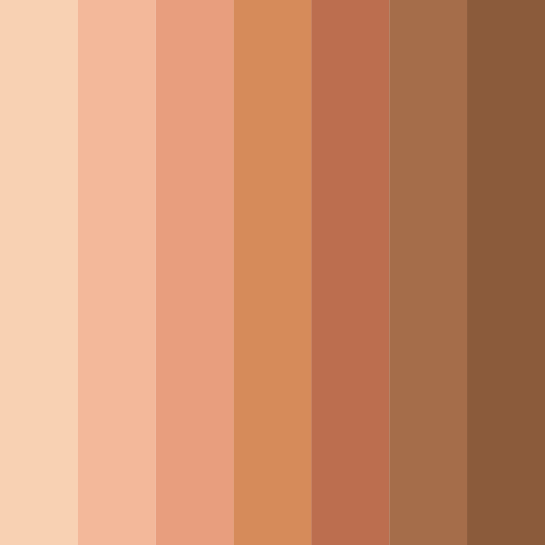 Download warm skin tones color palette PNG image (square)