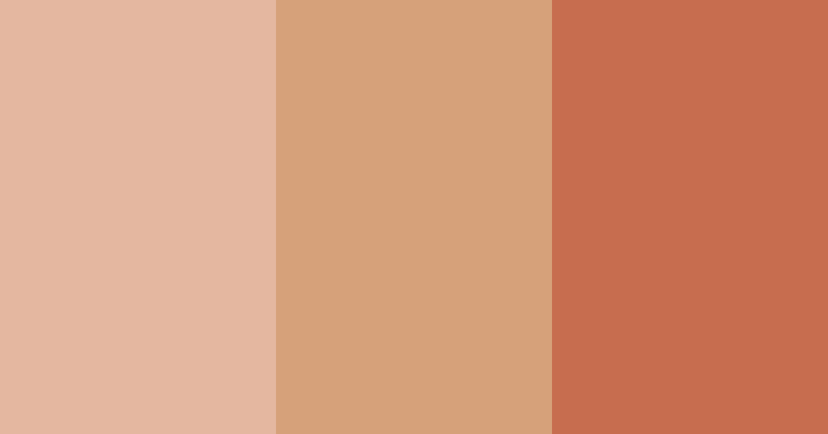 Download terracotta beige color palette PNG image (landscape)