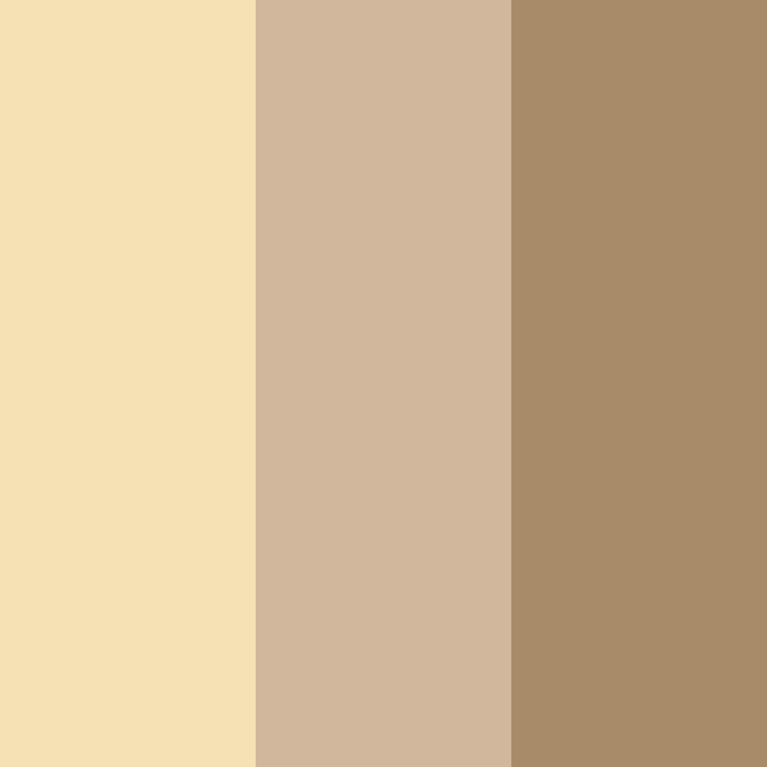 Download beige breeze color palette PNG image (square)