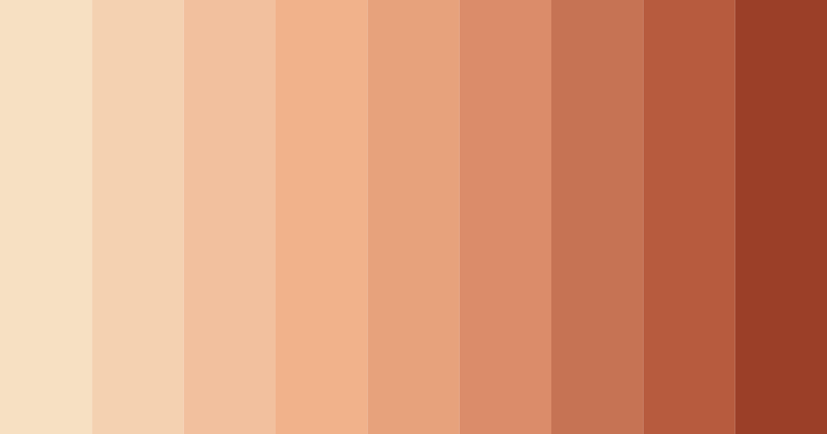 Download peachy shades color palette PNG image (landscape)