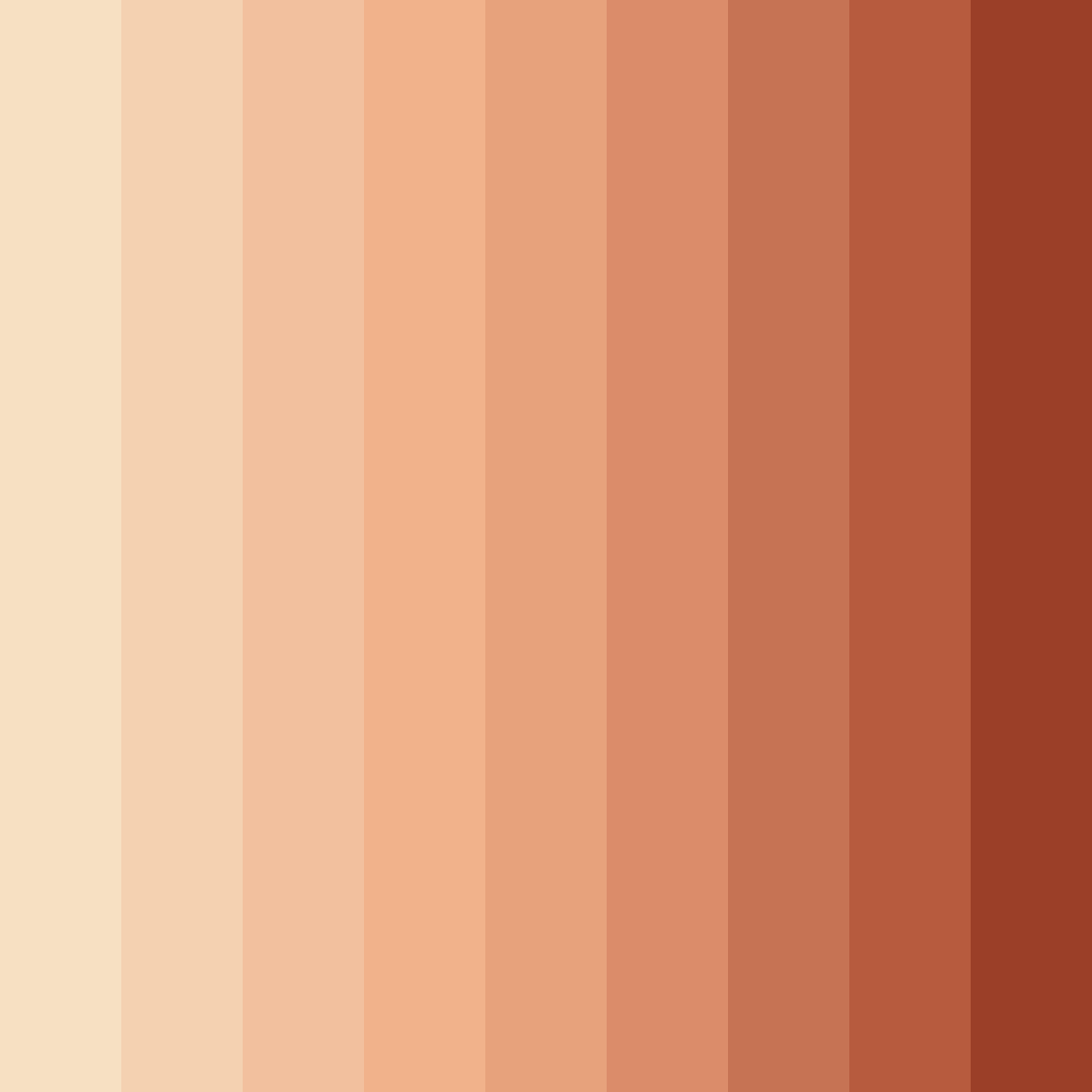 Download peachy shades color palette PNG image (square)