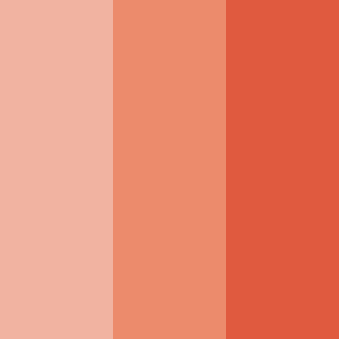 Download sunset blossom color palette PNG image (square)