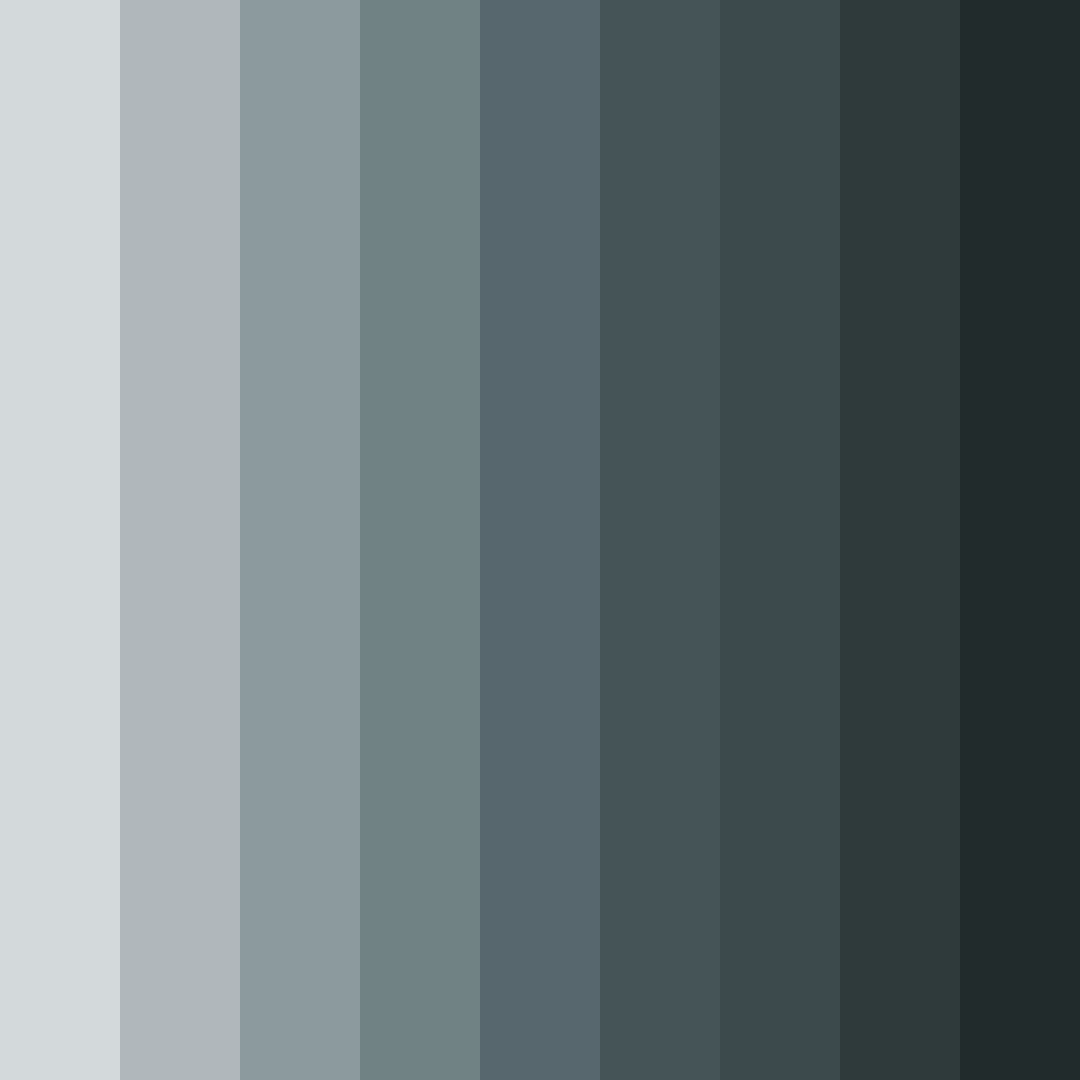 Download cool gray shades color palette PNG image (square)