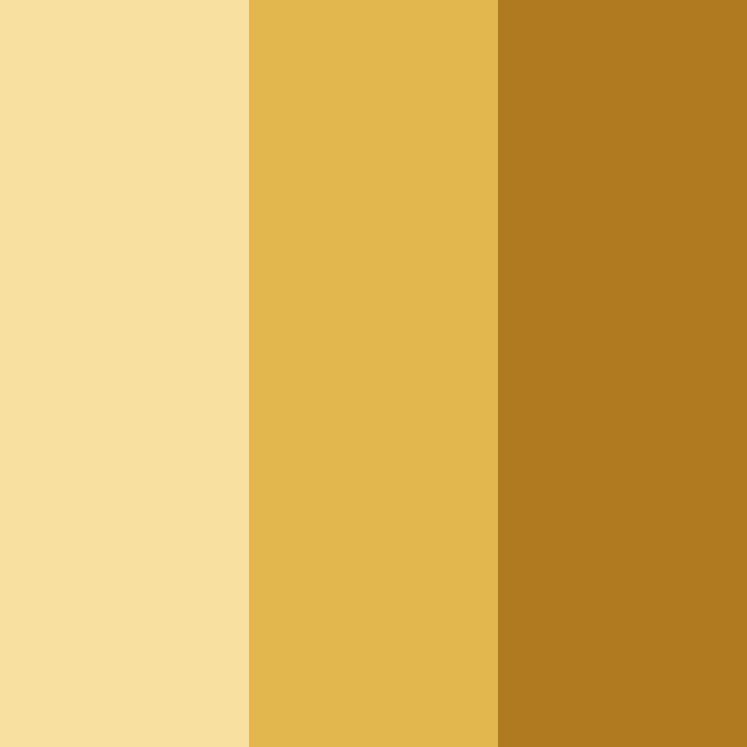 Download golden waffe color palette PNG image (square)