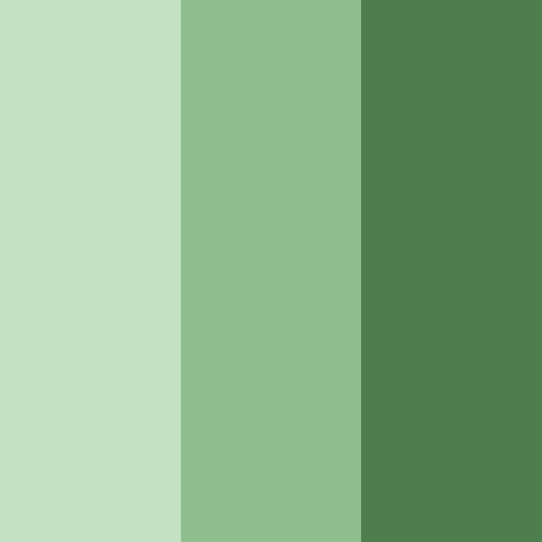 Download earthy green color palette PNG image (square)