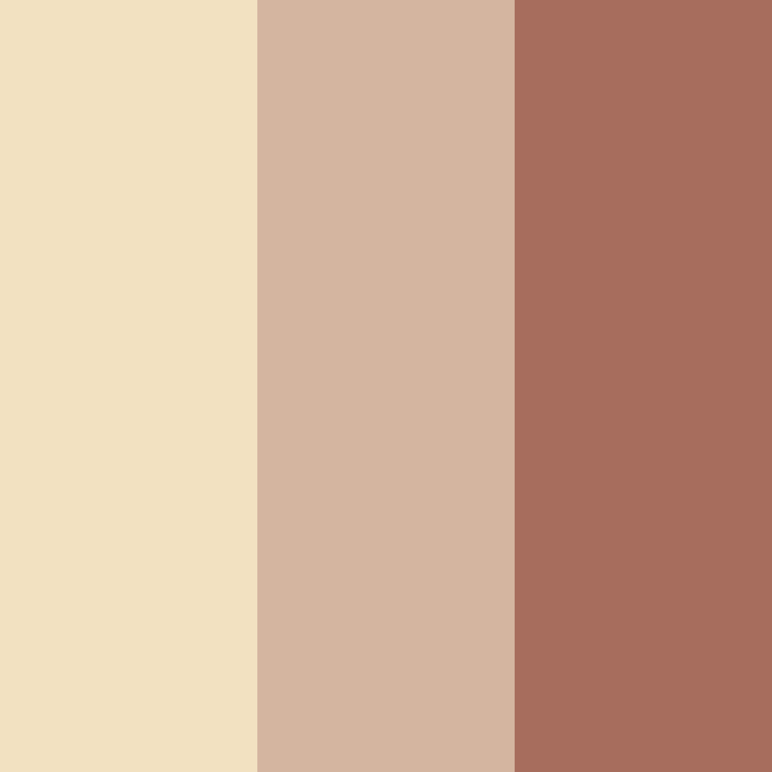 Download mushroom beige color palette PNG image (square)