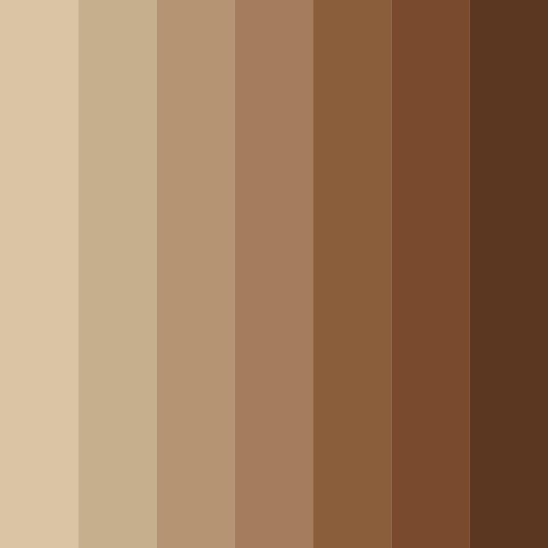 Download brown nut color palette PNG image (square)