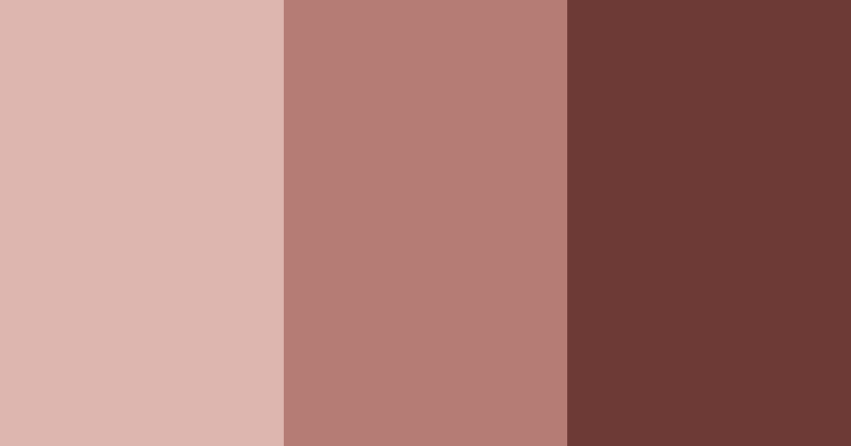 Download rustic rosewood color palette PNG image (landscape)