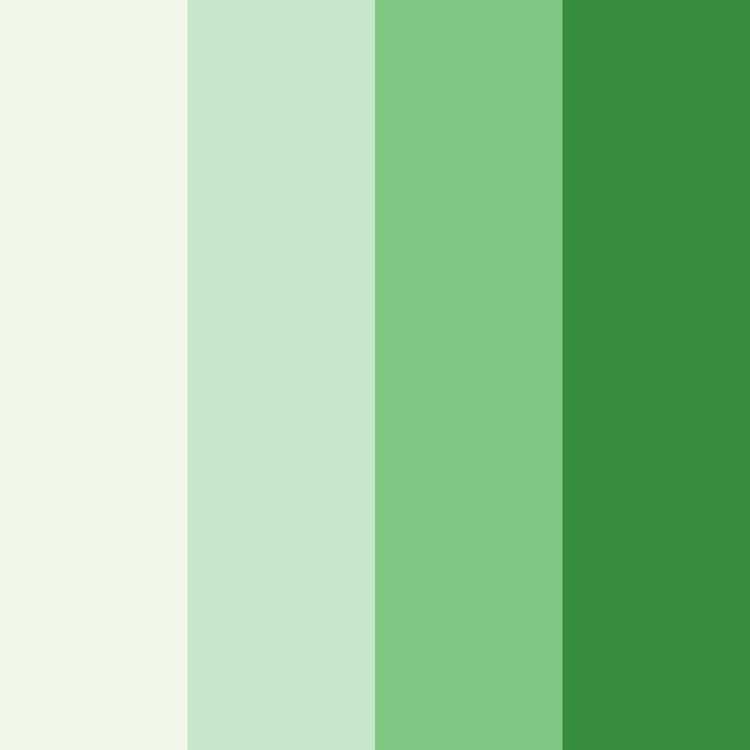 Download verdant whispers color palette PNG image (square)