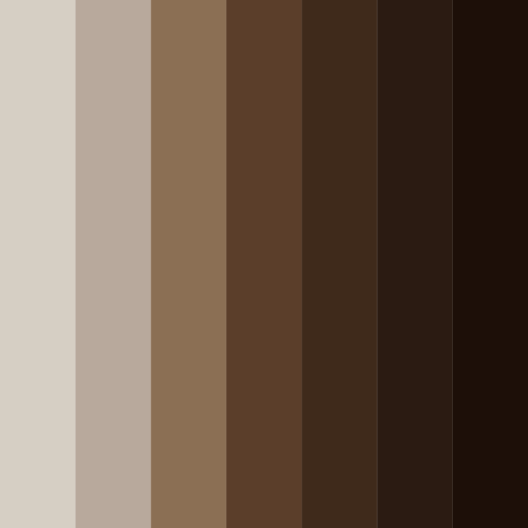 Download brown espresso color palette PNG image (square)