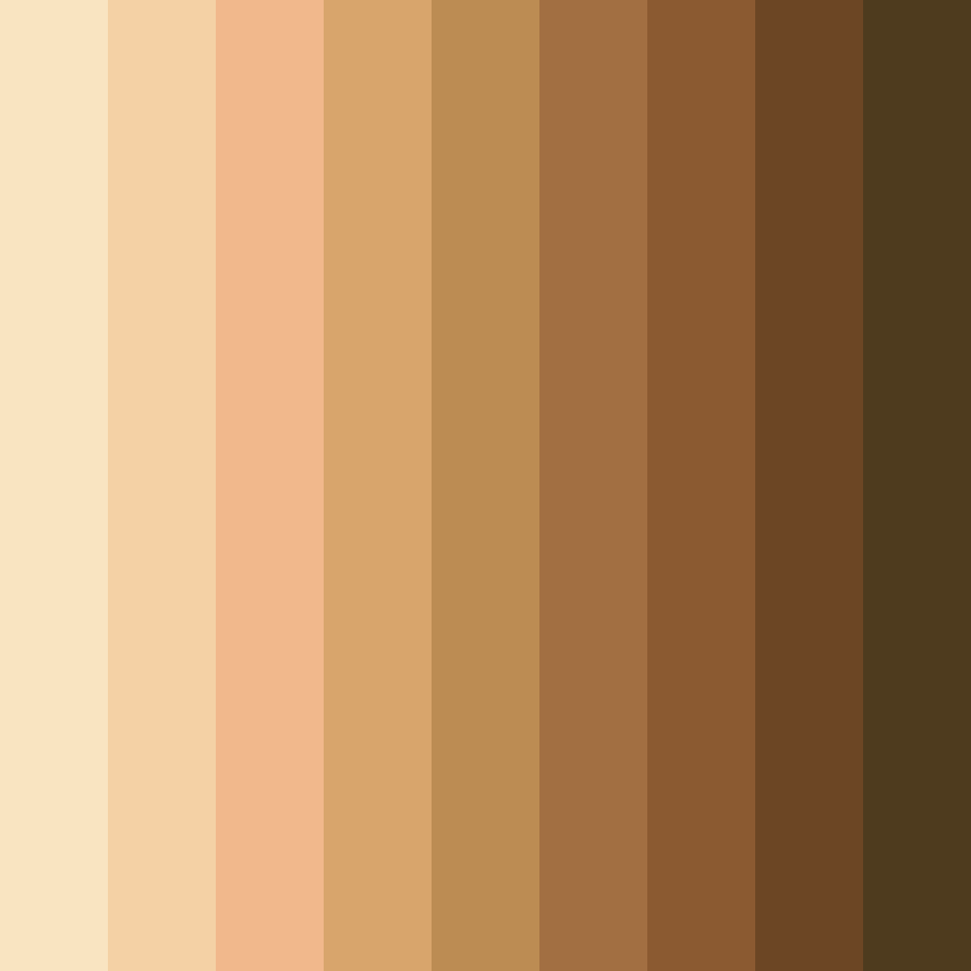 Download brown wafer color palette PNG image (square)