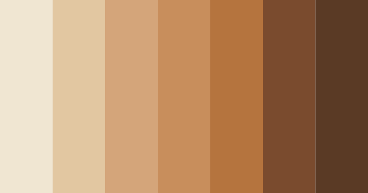 Download brown shades color palette PNG image (landscape)