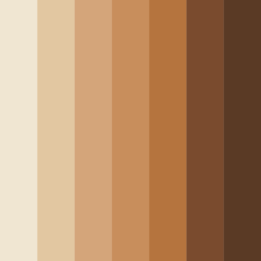 Download brown shades color palette PNG image (square)