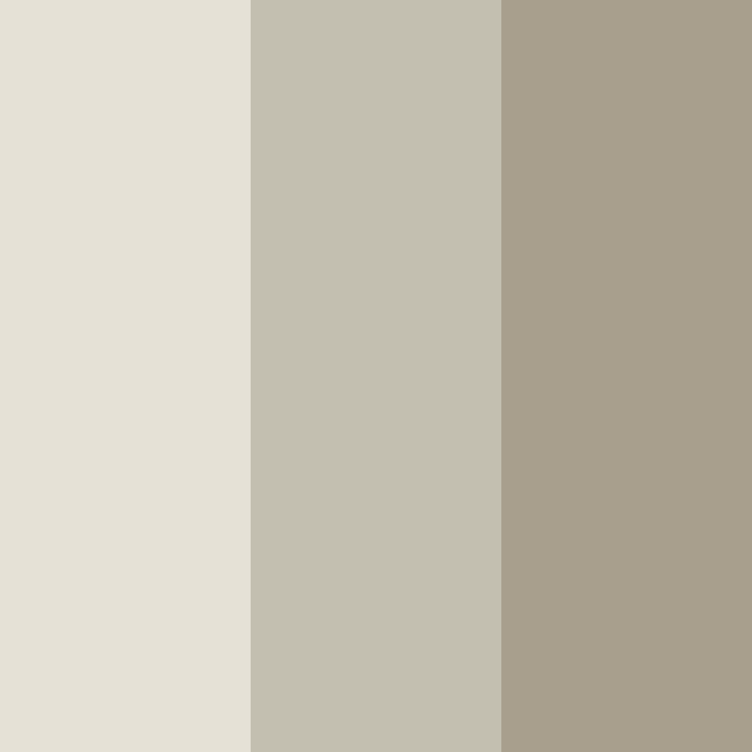 Download whispering sands color palette PNG image (square)