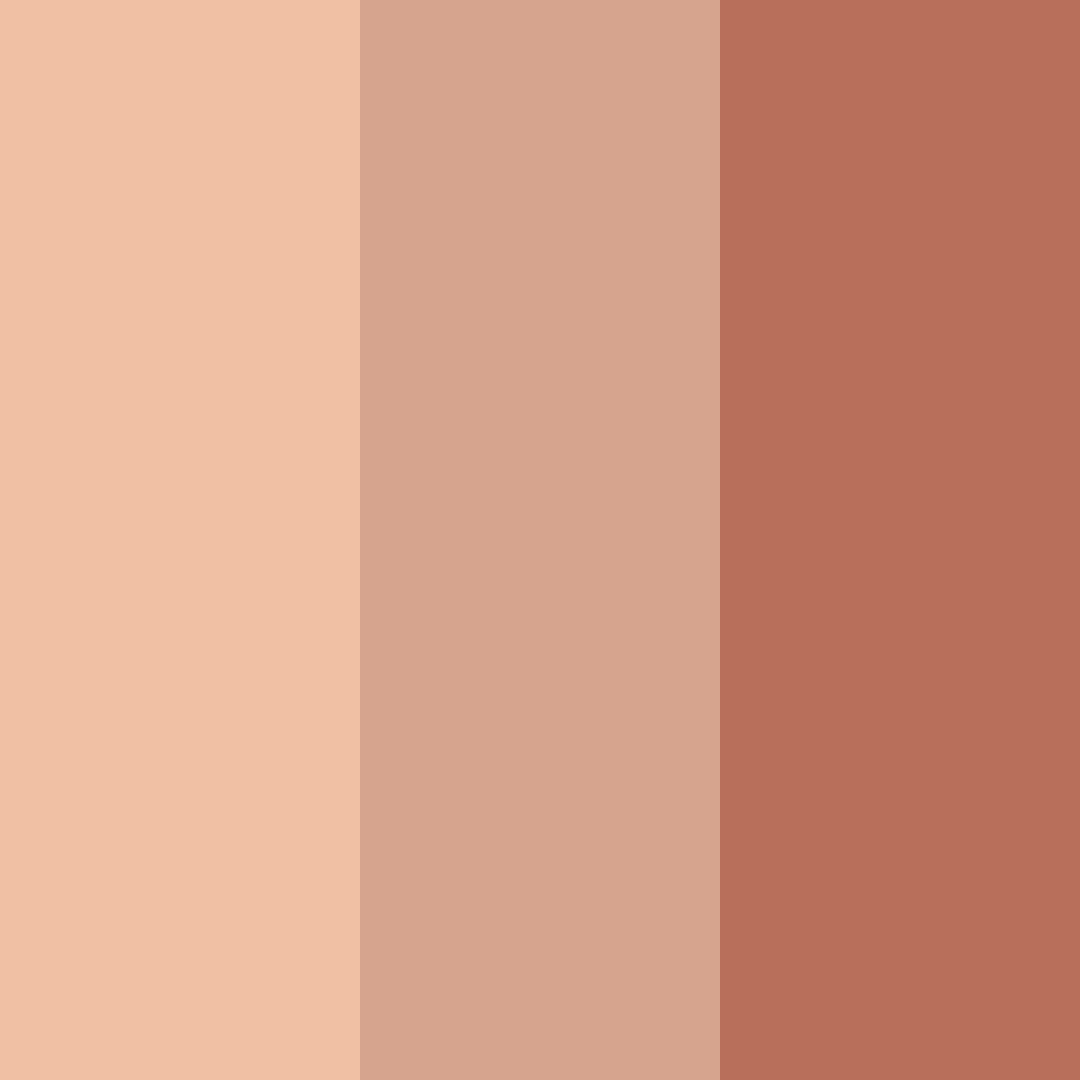 Download desert bloom color palette PNG image (square)