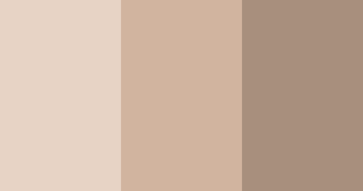 Download beige rock color palette PNG image (landscape)