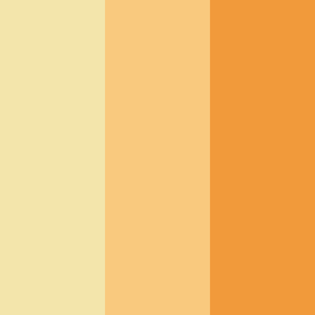 Download peachy oasis color palette PNG image (square)