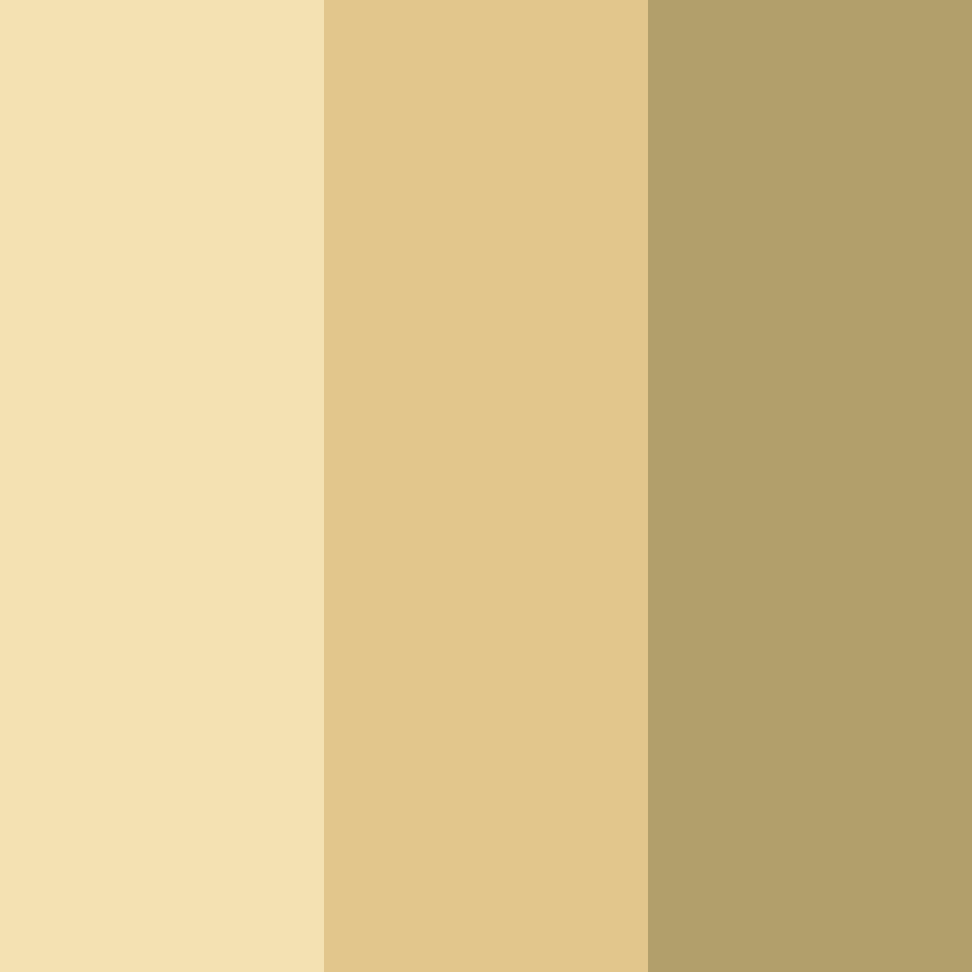 Download vanilla brew delight color palette PNG image (square)