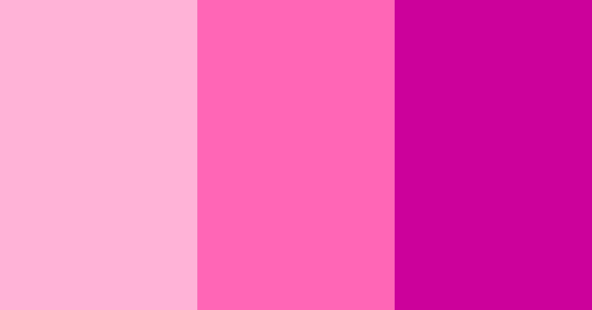 Download bright pink color palette PNG image (landscape)