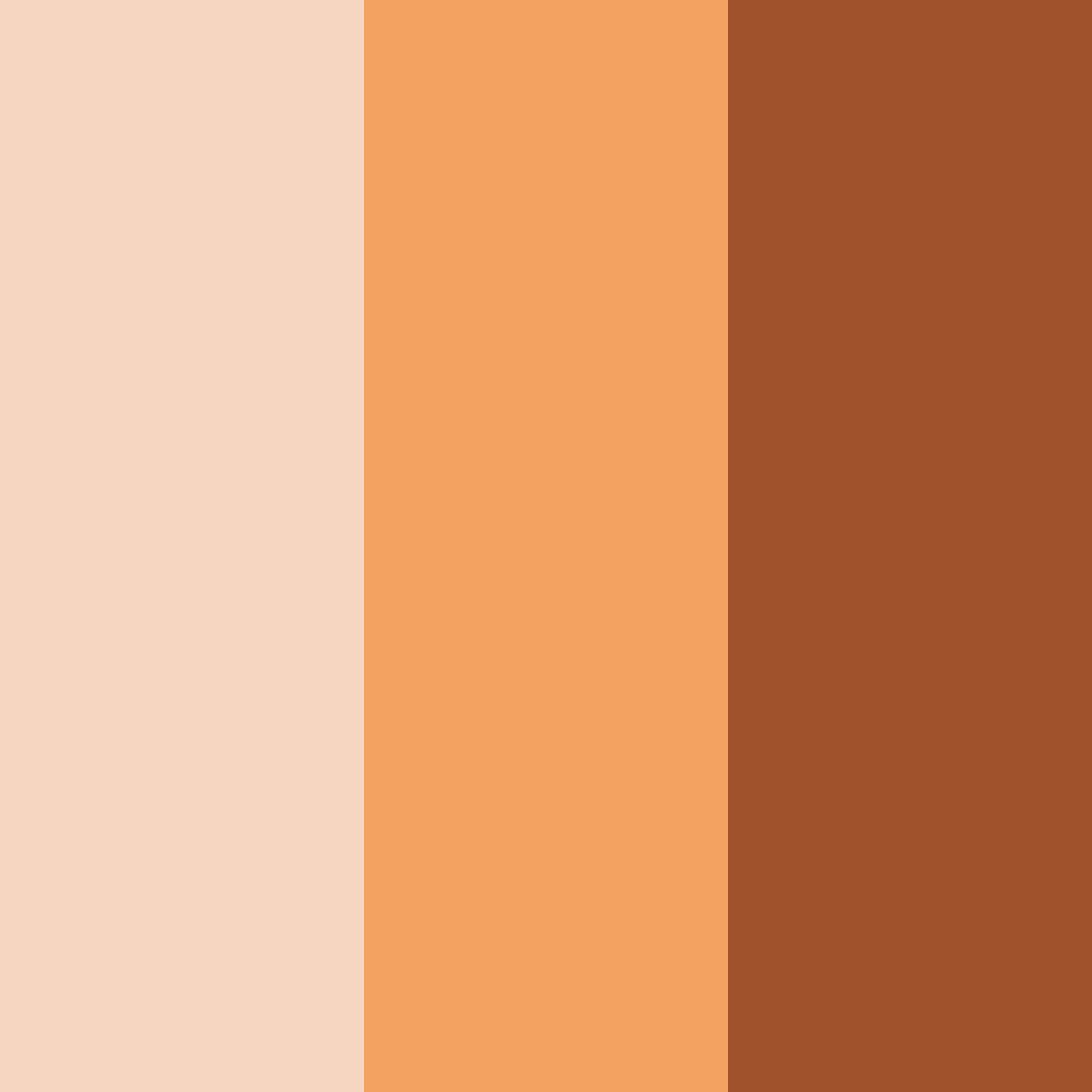 Download warm brown color palette PNG image (square)