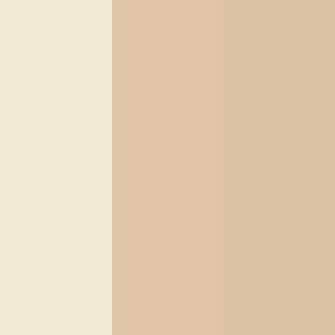 Download soft sandstone serenity color palette PNG image (square)