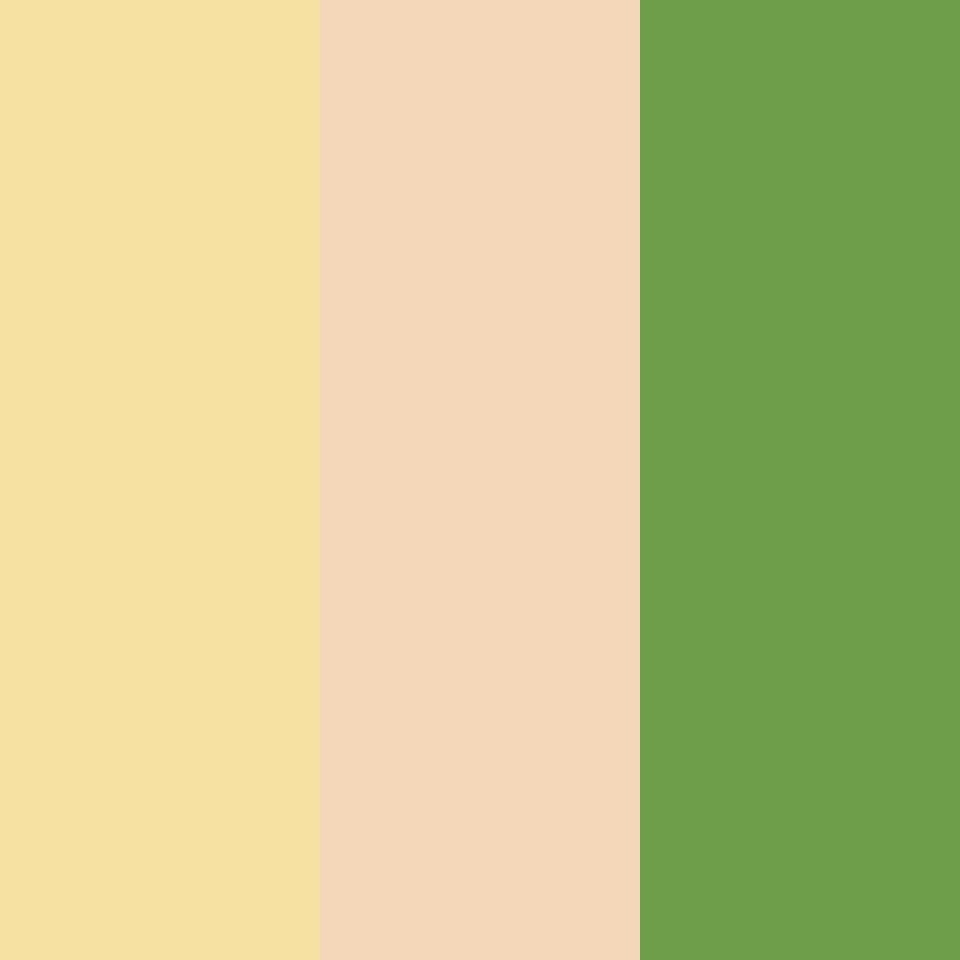 Download golden meadow bliss color palette PNG image (square)