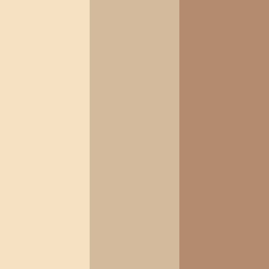 Download creamy brown color palette PNG image (square)