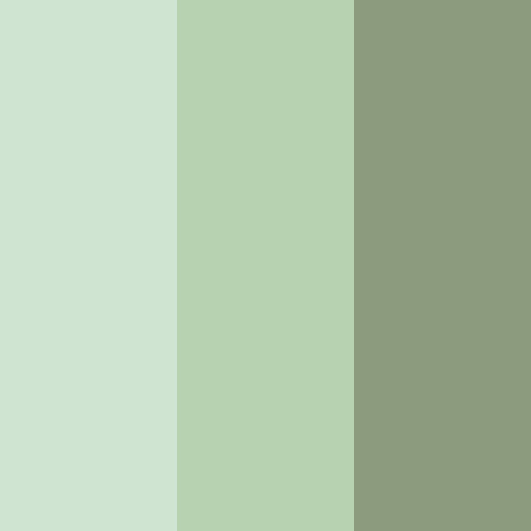 Download sage sunrise color palette PNG image (square)