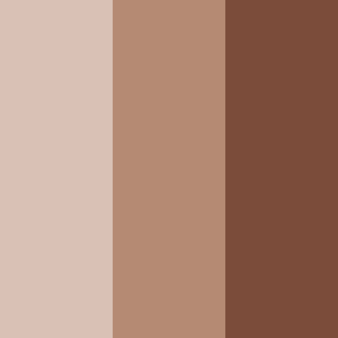 Download mocha shades color palette PNG image (square)