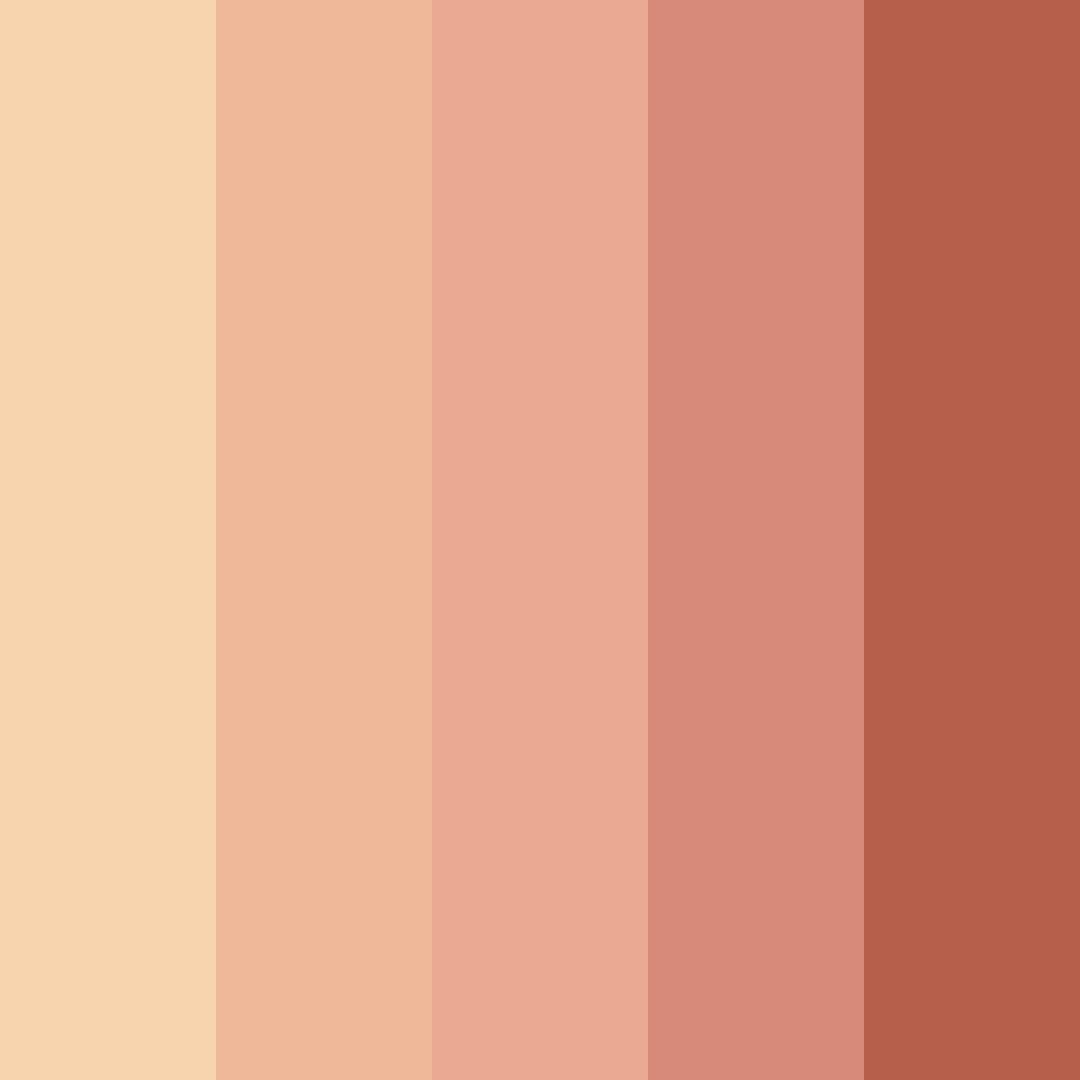 Download natural harmony color palette PNG image (square)