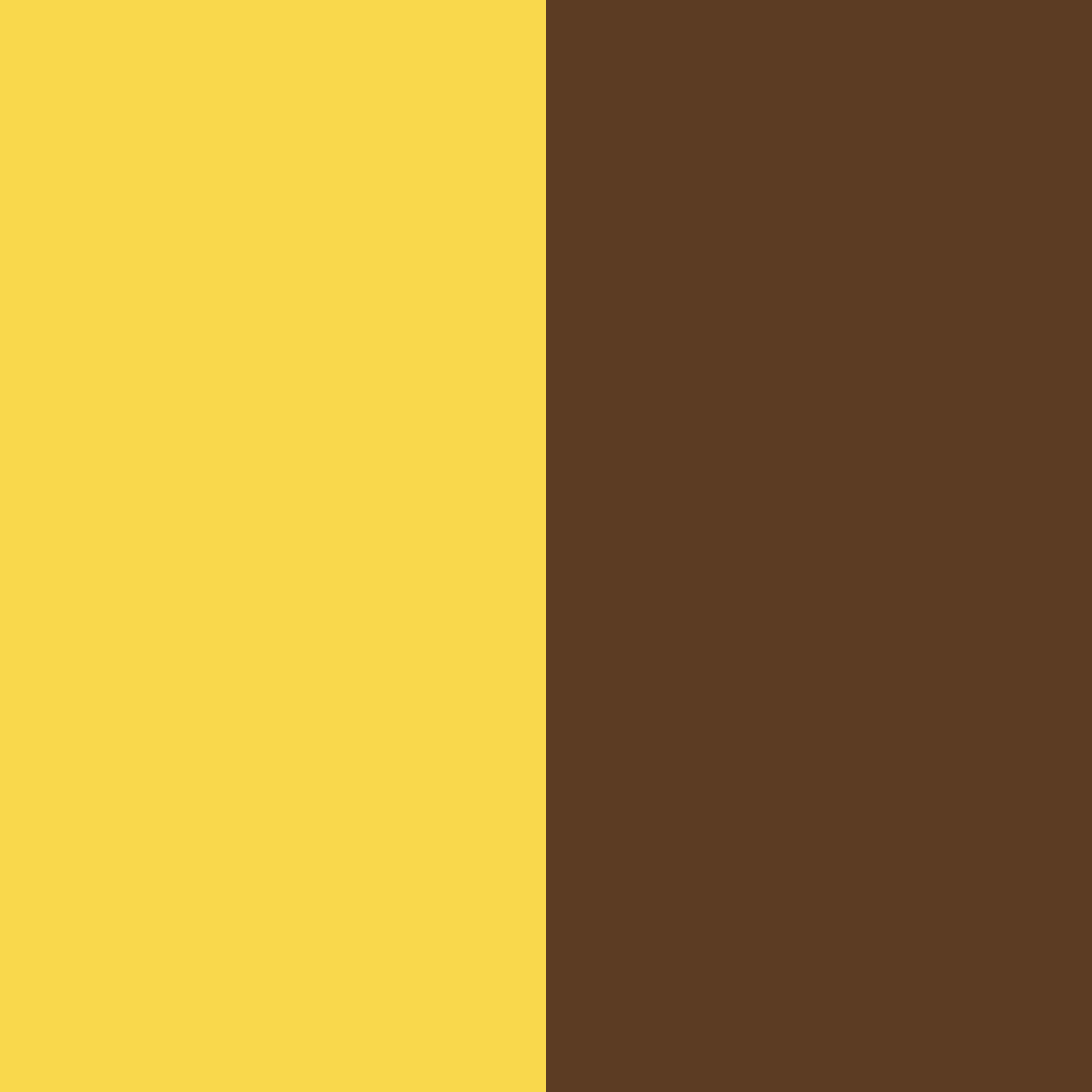 Download contrast yellow color palette PNG image (square)